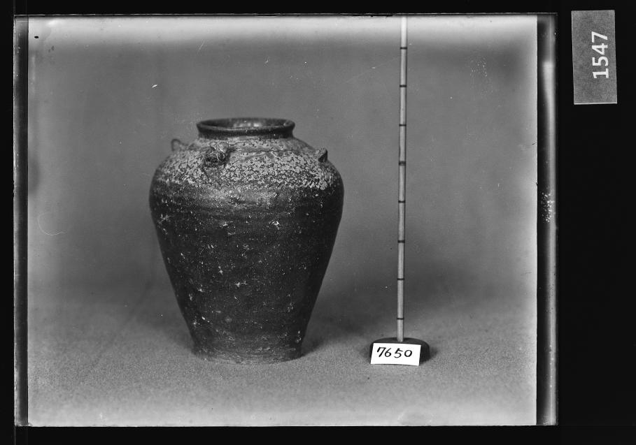 흑유사이호 유리건판