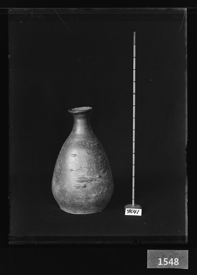 흑유병 유리건판