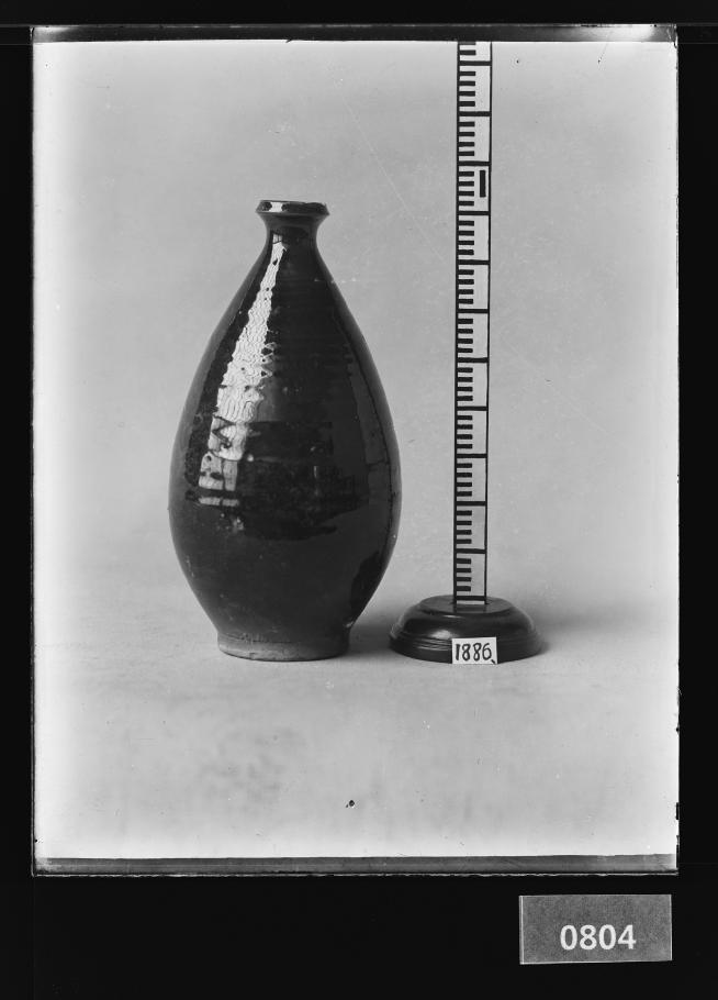 흑유병 유리건판