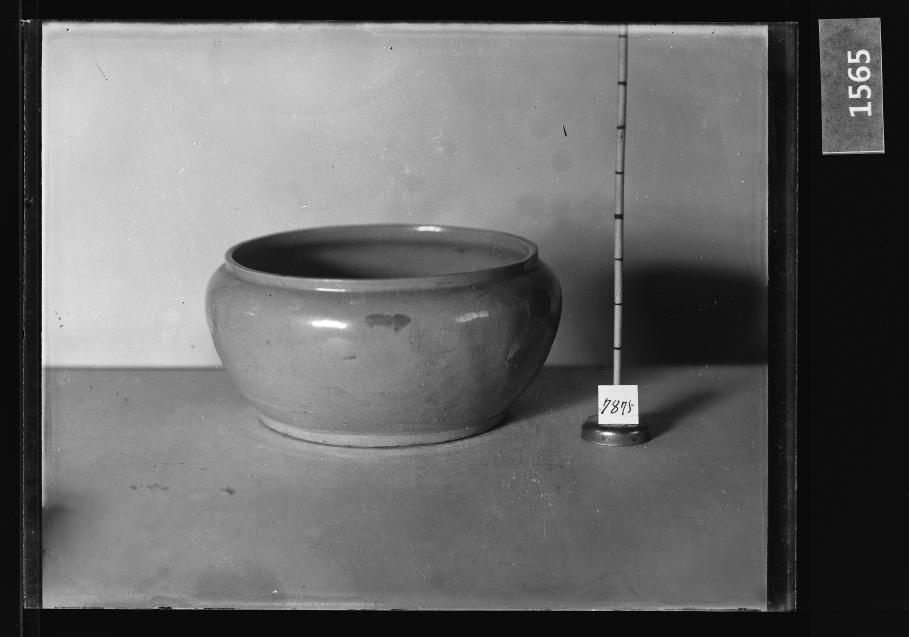 청자항 유리건판