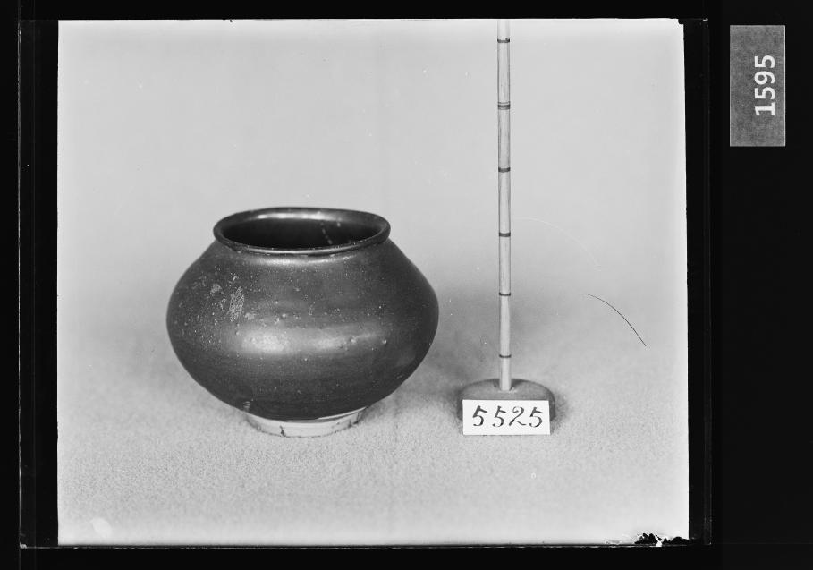 흑유호 유리건판