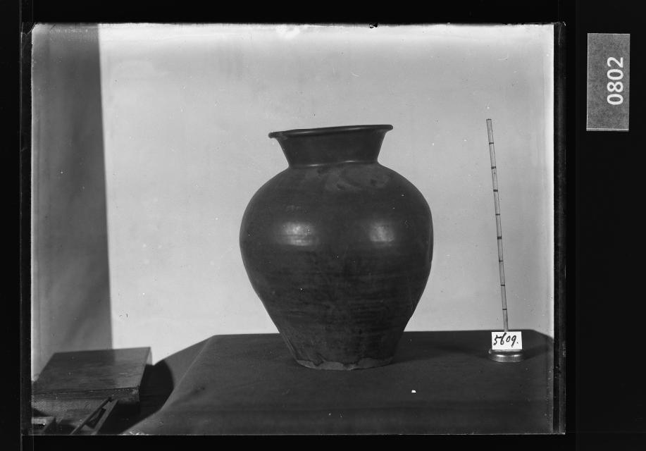 흑유호 유리건판