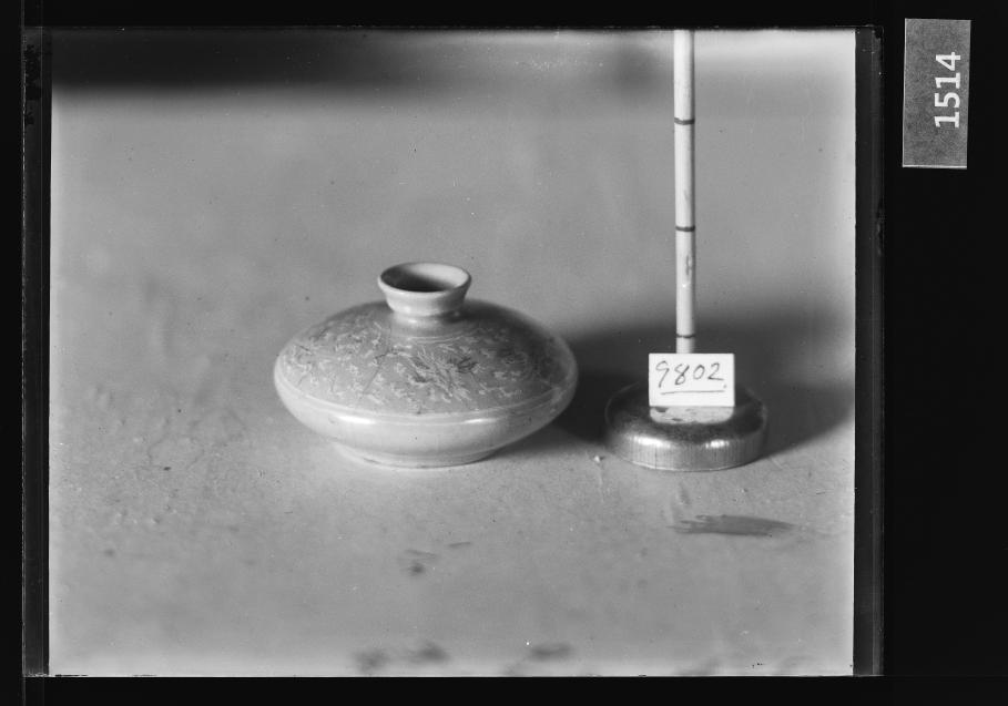 청자상감운학문유병 유리건판