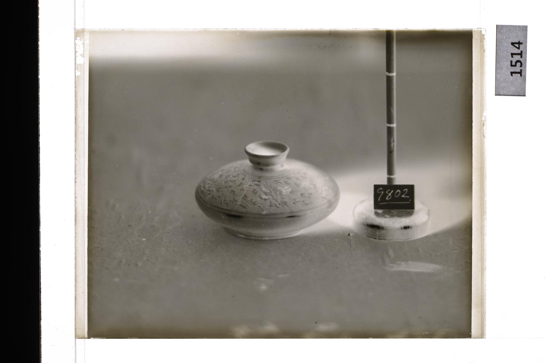 청자상감운학문유병 유리건판