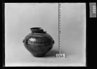 흑유호 유리건판