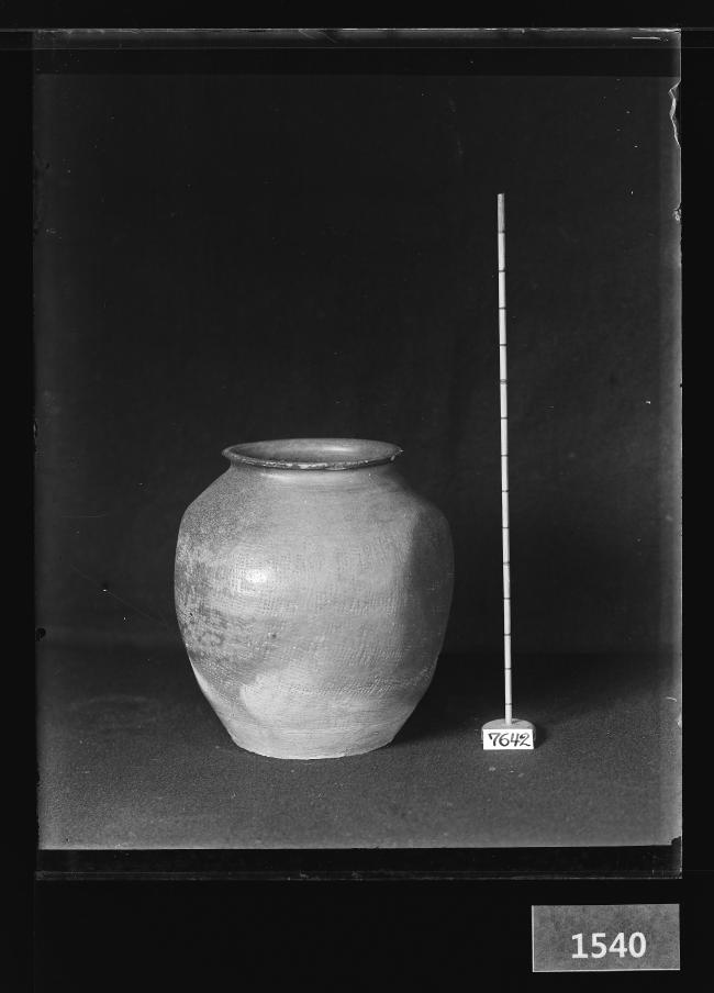 도기호 유리건판