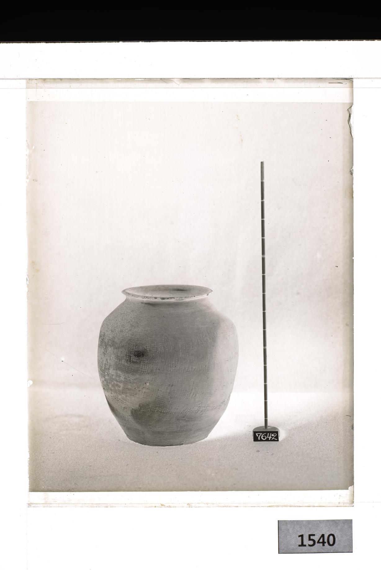 도기호 유리건판