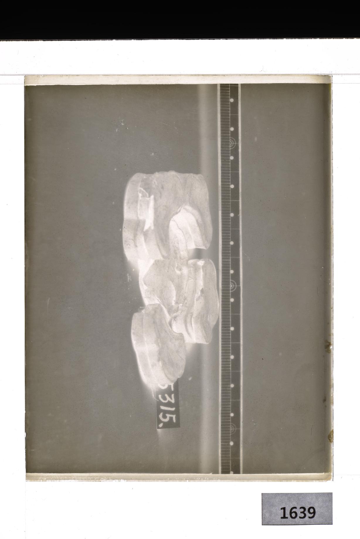 칠기모자합 유리건판