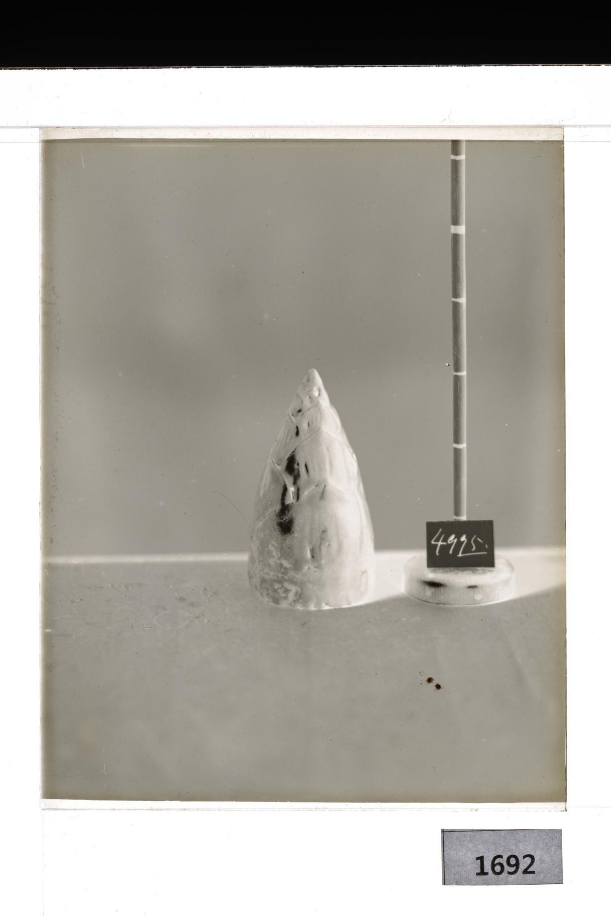 청자죽순형연적 유리건판