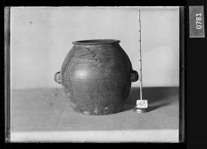 흑유양이호 유리건판