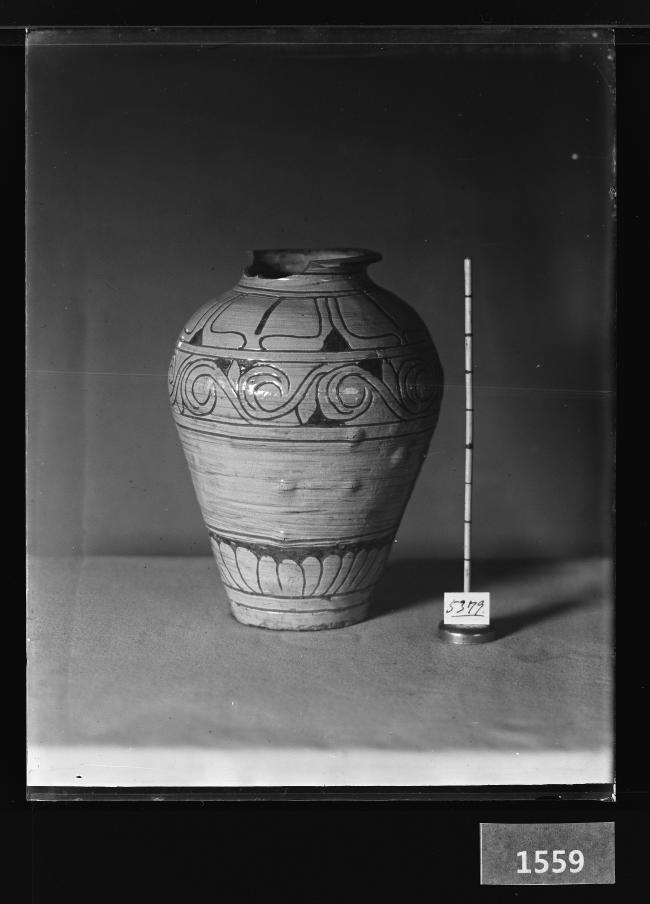 분청사기박지연화문병 유리건판