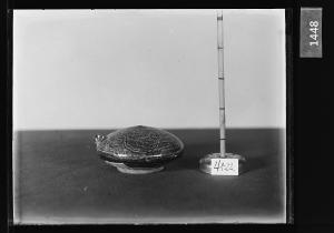 흑유음각당초문연적 유리건판