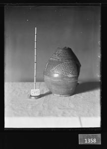 분청사기상감어문병 유리건판