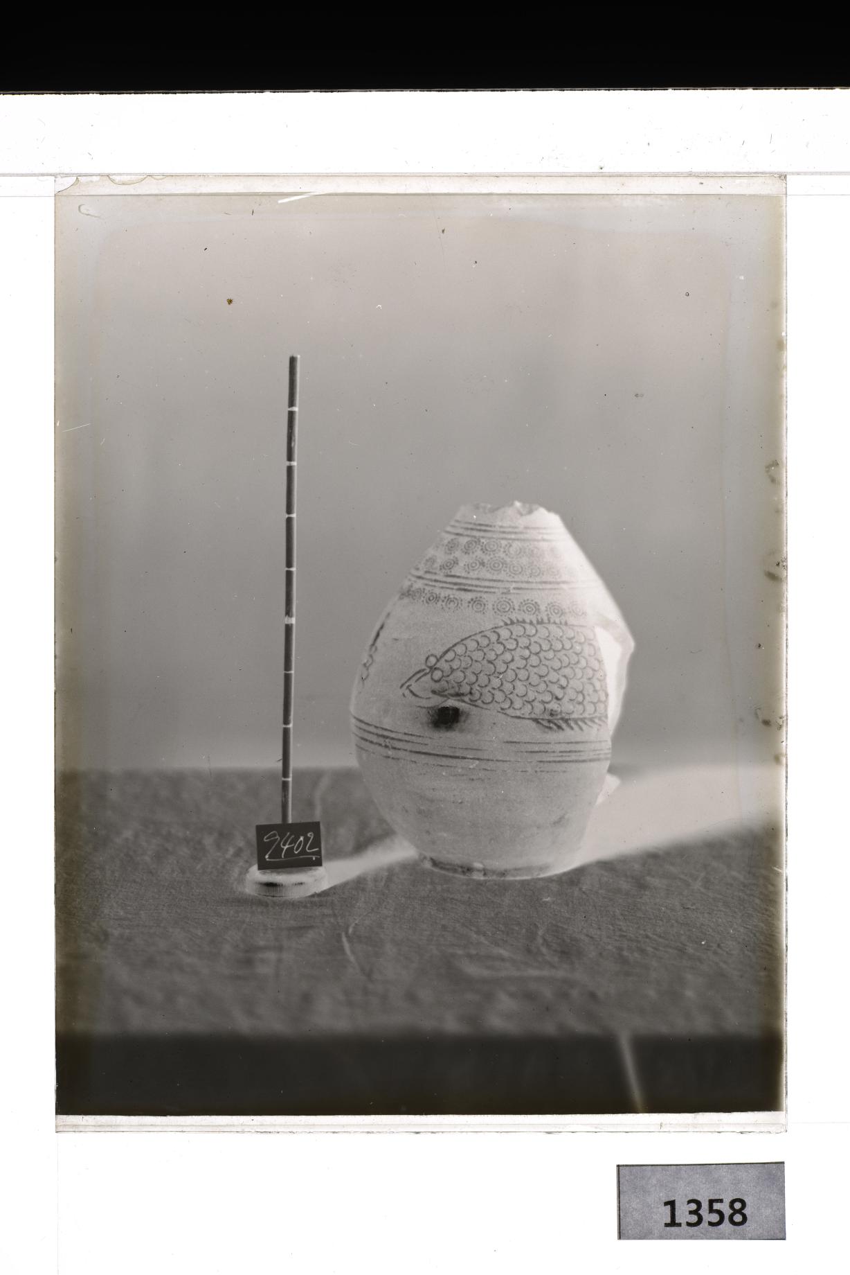 분청사기상감어문병 유리건판