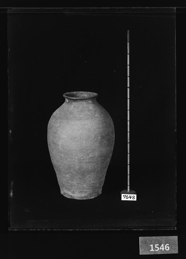 도기호 유리건판