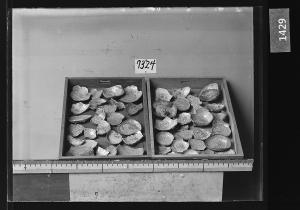 분청사기인화문편 유리건판