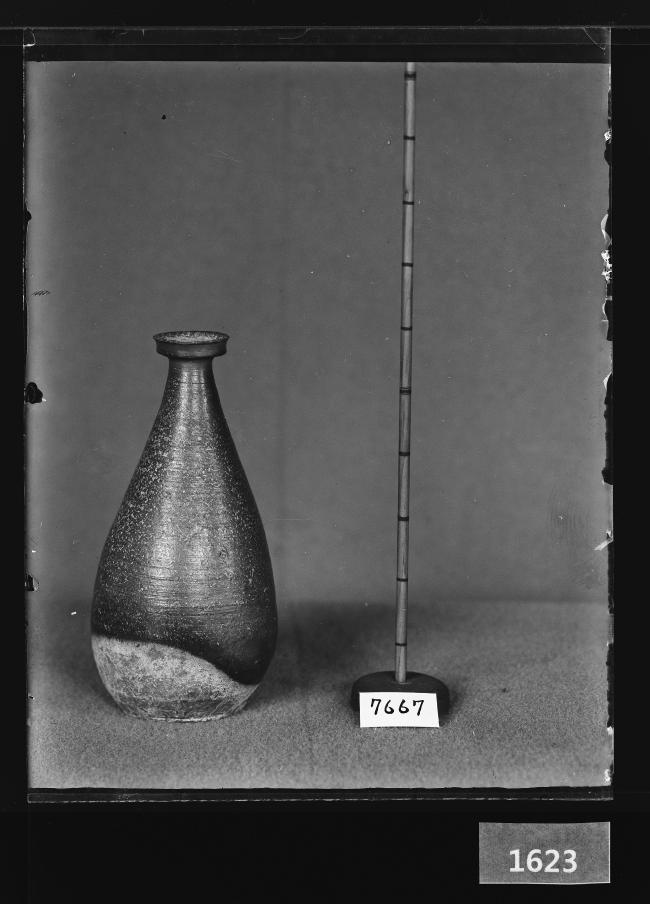 흑유병 유리건판