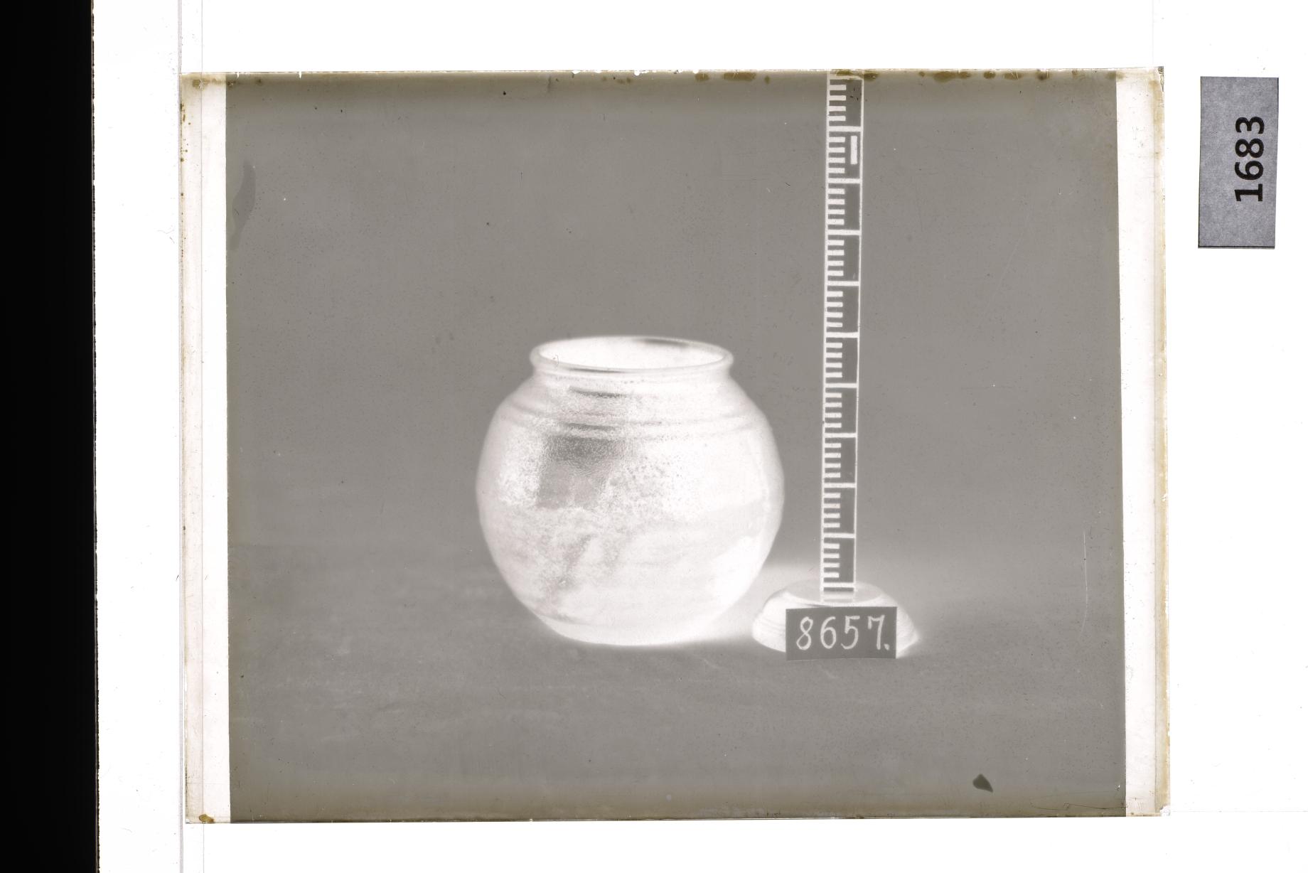 흑유호 유리건판