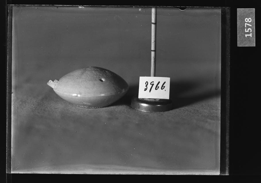 백자연적 유리건판