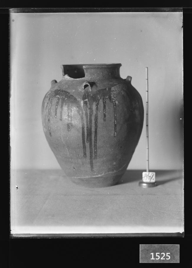 청자사이호 유리건판