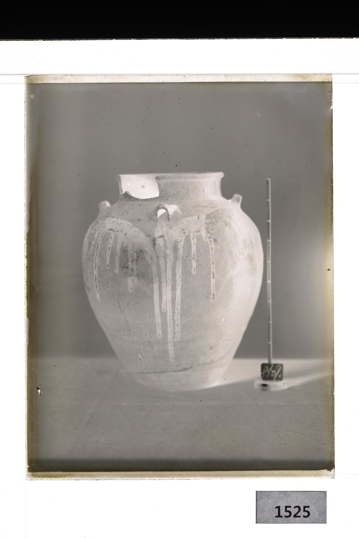 청자사이호 유리건판